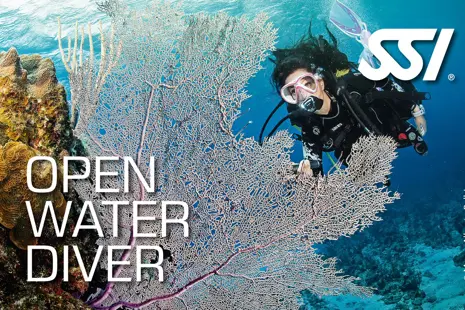 Advanced Open Water Diver
